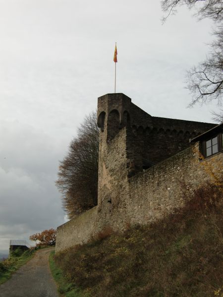 Burg Sayn