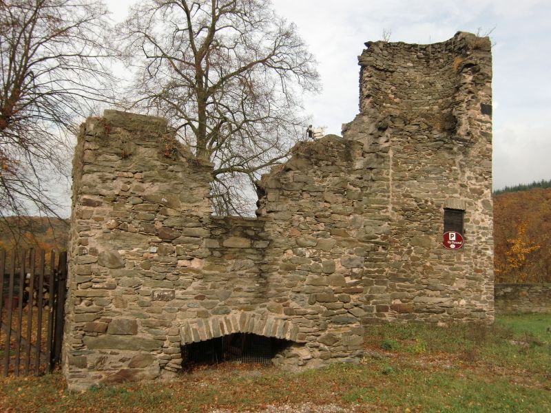 Burg Sayn