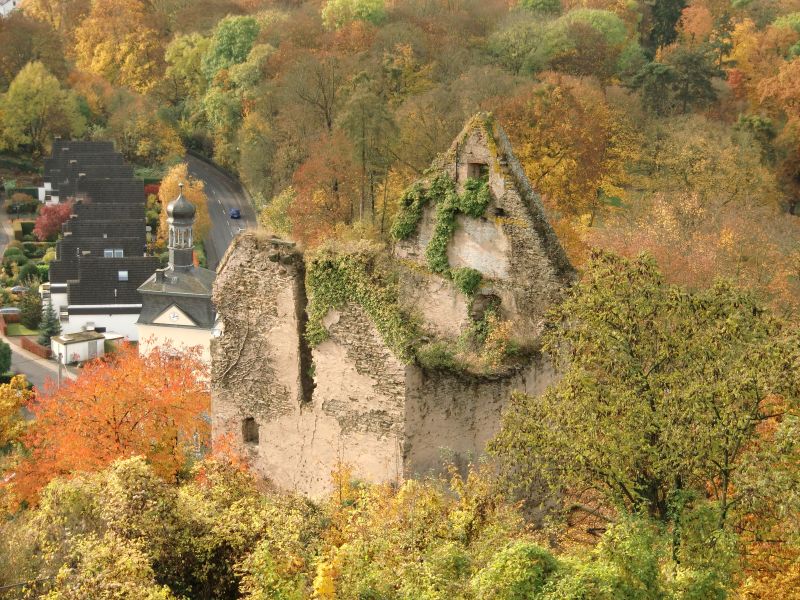 Burg Sayn
