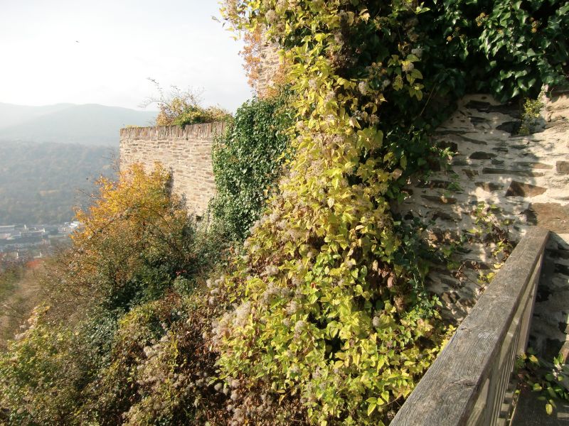 Burg Sterrenberg