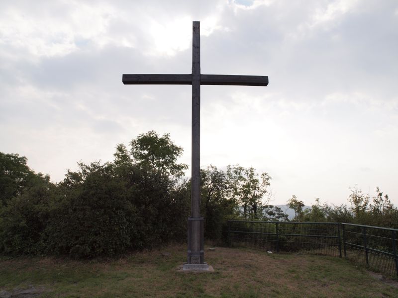 Vorschaubild Ansicht Burgruine Landskron (Titelfoto)