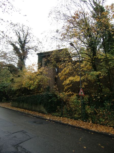 Fort Helfenstein