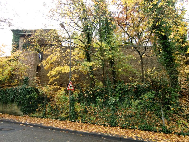 Fort Helfenstein
