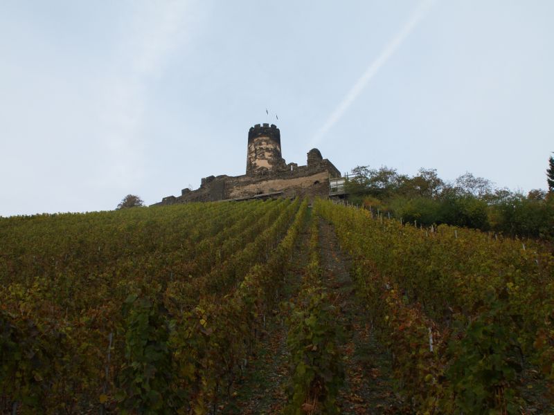 Ruine Frstenberg