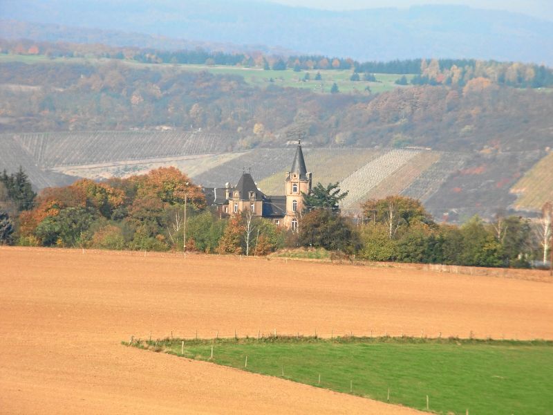 Schloss Liebeneck