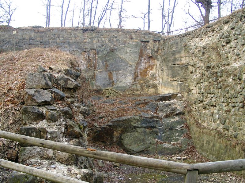 Burg Regenstein