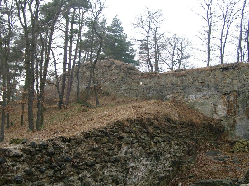 Burg Regenstein