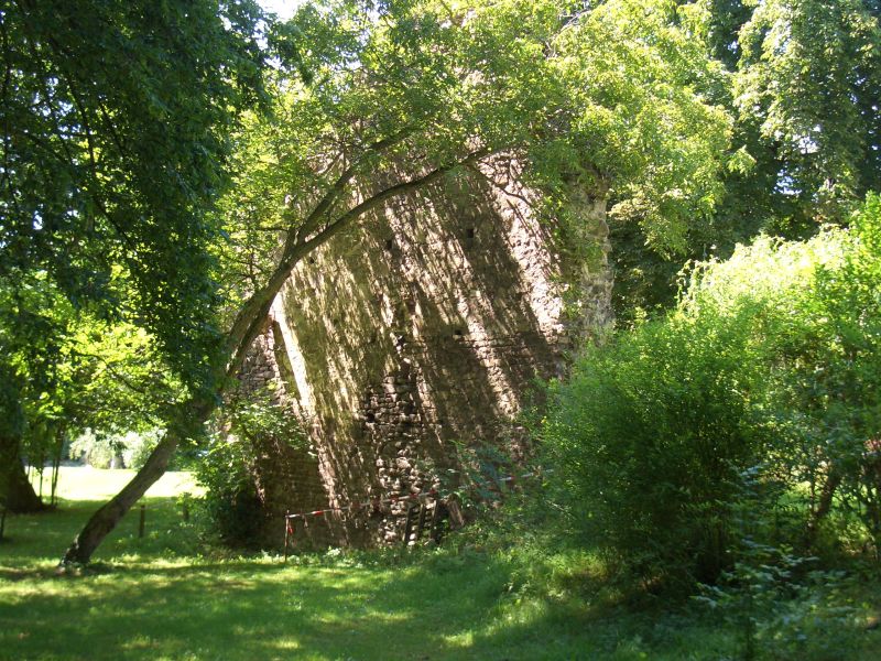 Burg Veltheimsburg