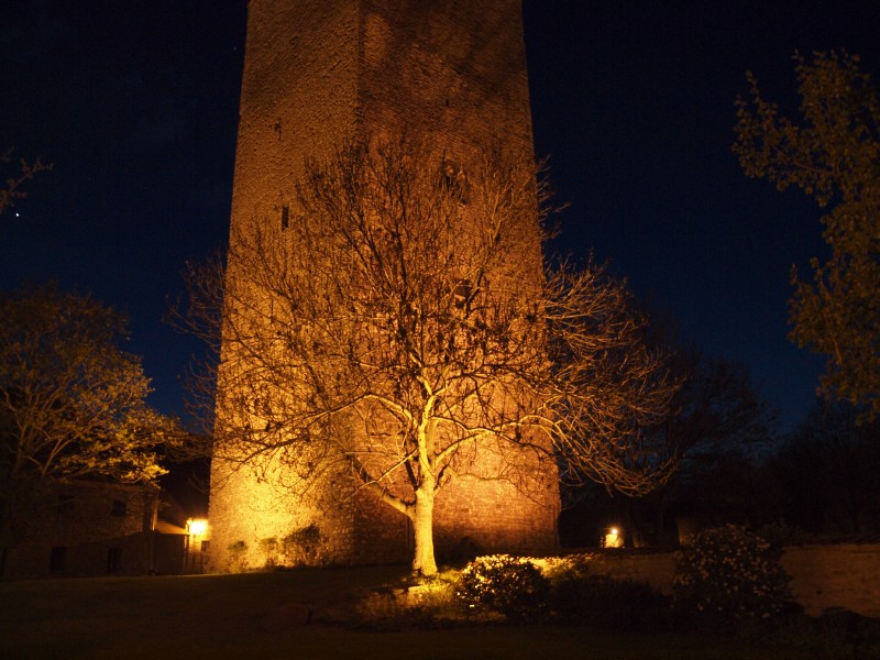 Burg Wanzleben