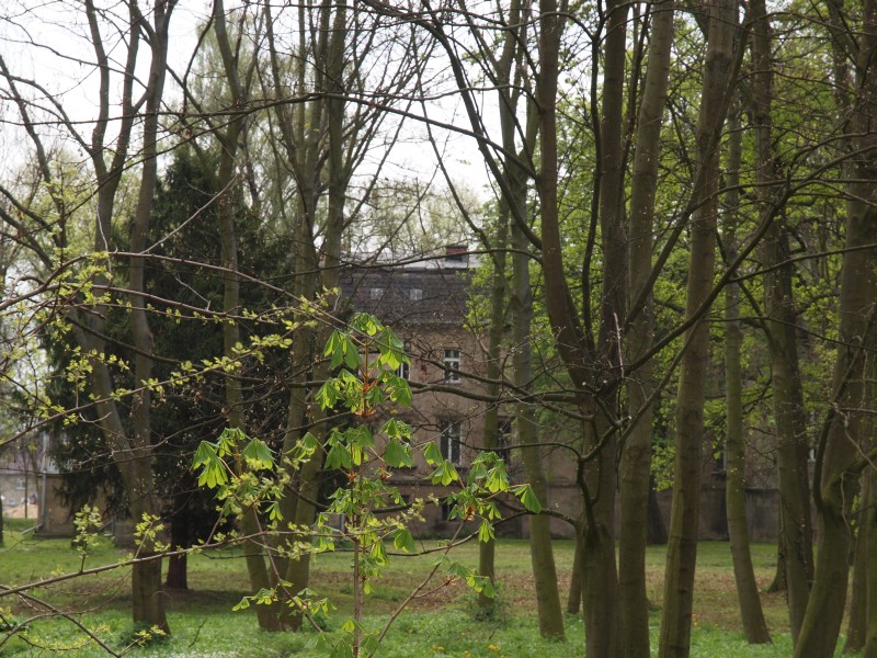 Schloss Schermcke