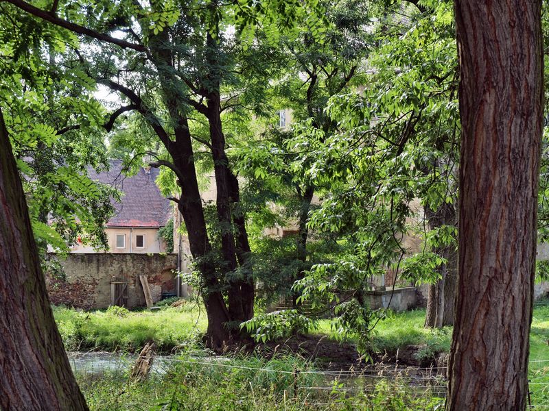 Schloss Noschkowitz