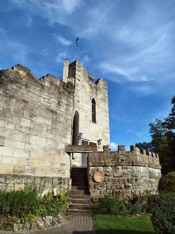 Burg Frankenstein