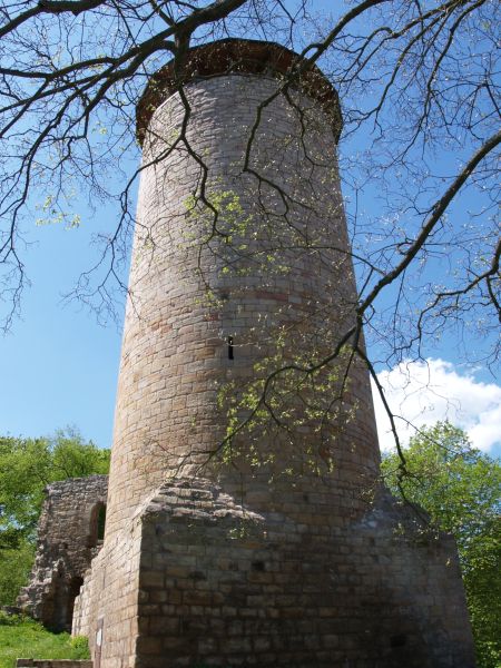 Burg Tannroda