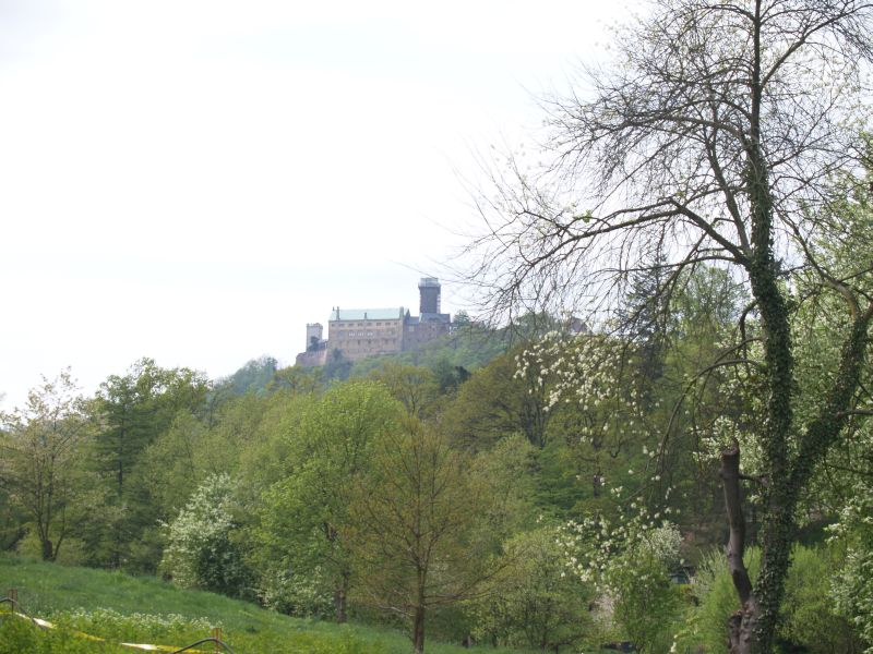 Die Wartburg