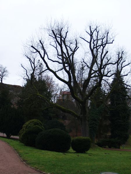 Schloss Altenstein