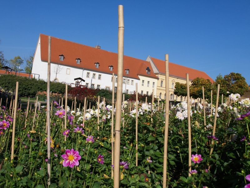 Schloss Ronneburg