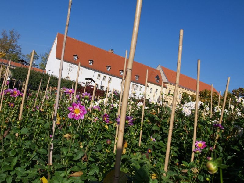 Schloss Ronneburg